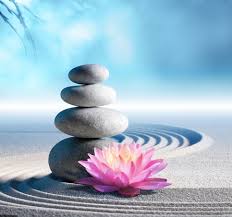 Transformation/Health & Wellness Consultation