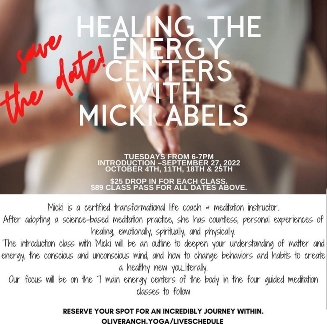Healing the Energy Centers Guided Meditation Series