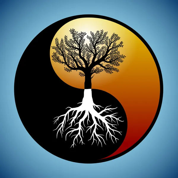 Root Chakra Healing Meditation